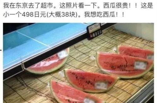 日本娱乐吃瓜,揭秘明星幕后故事与八卦传闻